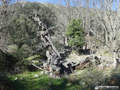 Geoparque Villuercas - Ibores - Jara; bota senderismo murcia senderismo rutas por asturias valencia 
